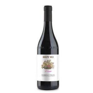 Barbera d'Alba "Il Ciotto" 2024 Bovio