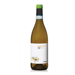 Langhe Arneis "Le Margherite" 2024 Brandini