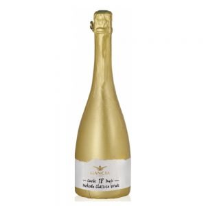 Alta Langa Brut 2017 Gancia
