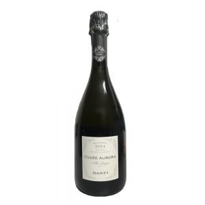 Alta Langa "Cuvée Aurora" 2021 Banfi