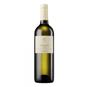 Gavi "La Rocca" 2024 Coppo
