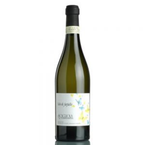 Moscato d'Asti "Volo di Farfalle" 2025 Scagliola