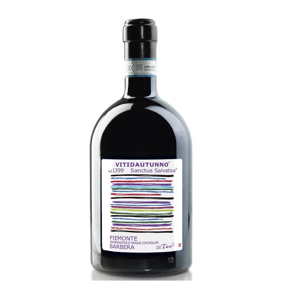 Barbera Passita "Le Uve Stramature" 2023 Teo Costa